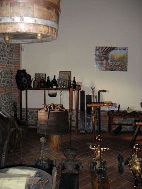 Azienda Vinicola Medice Ermete - Museum